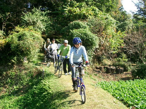 小山田緑地から下る
