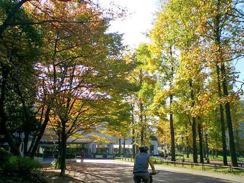 多摩中央公園付近
