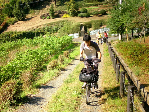 小山田緑地へ続く道