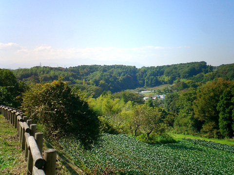 緑地と小さな畑