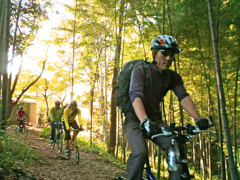 竹林の中を行く