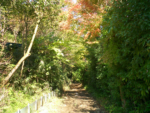 ぐしゃぐしゃのダート道