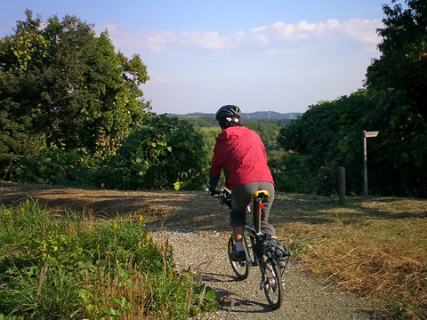 尾根を行く『多摩よこやまの道』