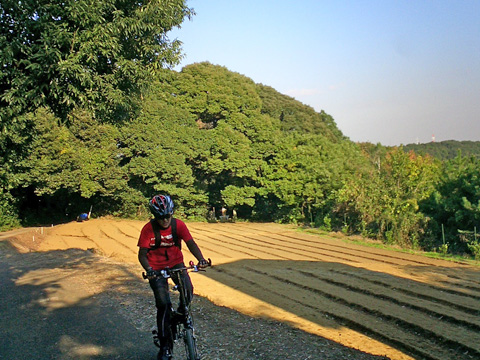 林の奥の小さな畑
