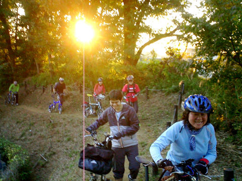 再び『多摩よこやまの道』