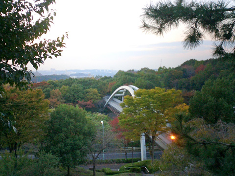 丘の上広場から多摩東公園を望む