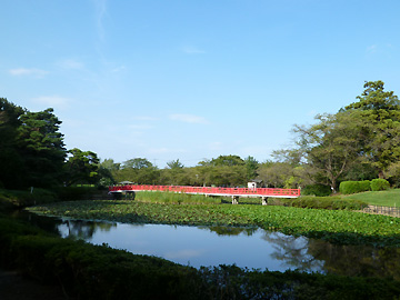 菖蒲池と八つ橋