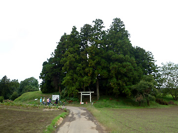鹿島神社とこんもりした林