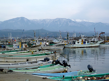 漁港と白神山地