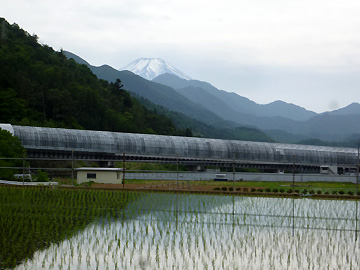 田んぼとリニア実験線と富士山
