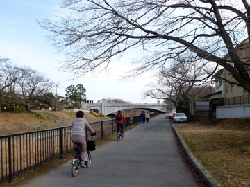 南浅川の歩行者自転車道