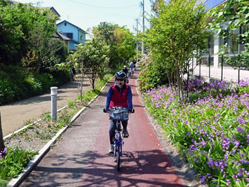 住宅地を抜ける自転車道
