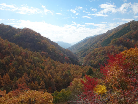 細尾峠からの下りの景色