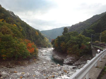 渡良瀬川と紅葉