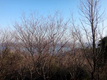 奥浜名湖展望公園からの眺め