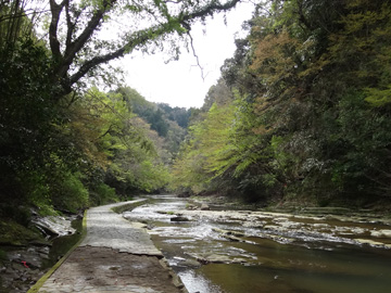養老川と『粟又の滝自然遊歩道』
