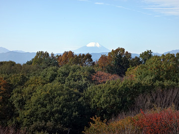 展望台より見る富士山