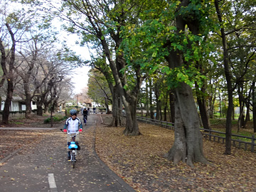 野山北公園自転車道