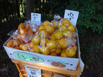 柚子とみかん、100円也
