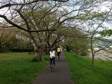 酒匂川自転車道終点
