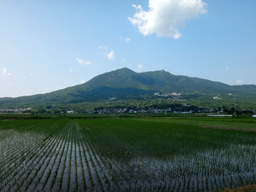 田んぼに映る筑波山