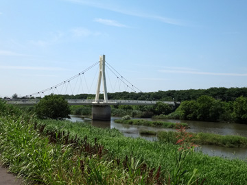 中川と外野橋