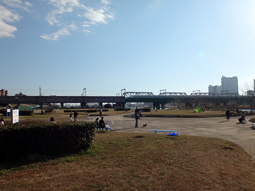 東海道新幹線と横須賀線の橋