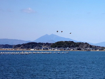 高浜入と筑波山