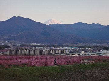 桃園の上の富士山
