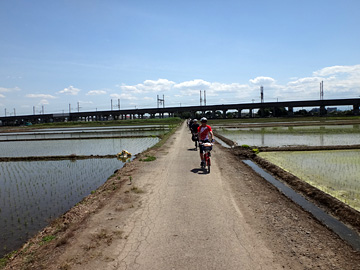 鴻巣の田圃と上越新幹線の高架橋