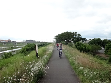 酒匂川自転車道
