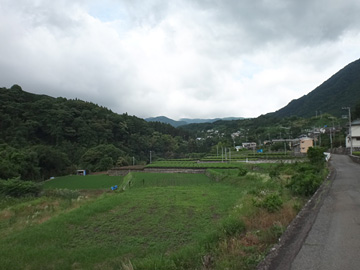 矢倉沢下の道