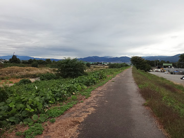松川の土手から見る飯縄山
