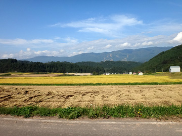 野沢温泉付近の田んぼ