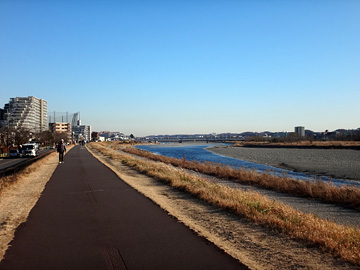 多摩川自転車道