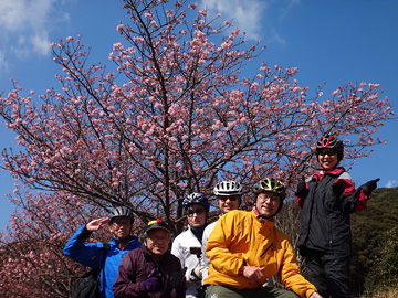 河津桜と満足げなジオポタの面々