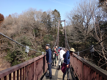梅木窪分園の吊り橋