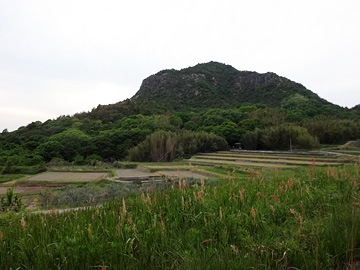 棚田と小山