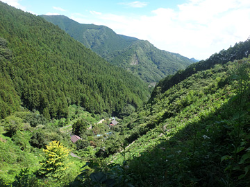 武蔵野水道・時坂の森の標識のやや下の景色