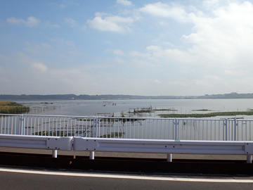 舟戸大橋から見た印旛沼
