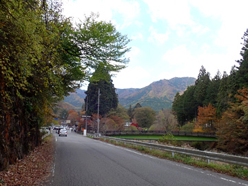 古峯神社の裏山