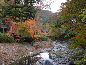 古峯神社の渓流