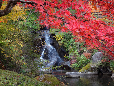 古峯園の滝と紅葉