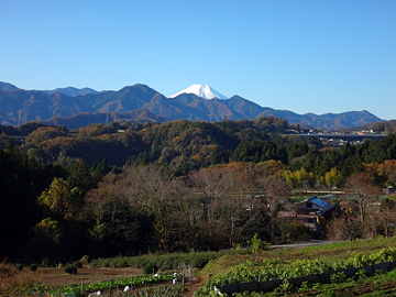 大倉から富士山を望む