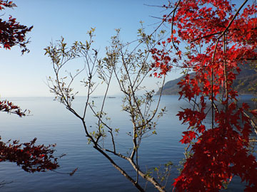 真っ赤なもみじと琵琶湖