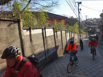 小石川植物園横の坂