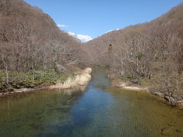 奥入瀬川の源