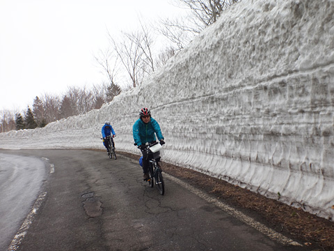 傘松峠付近の雪の回廊
