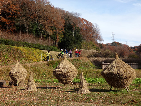 奈良ばい谷戸の藁ボッチ