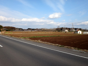 県道横の畑